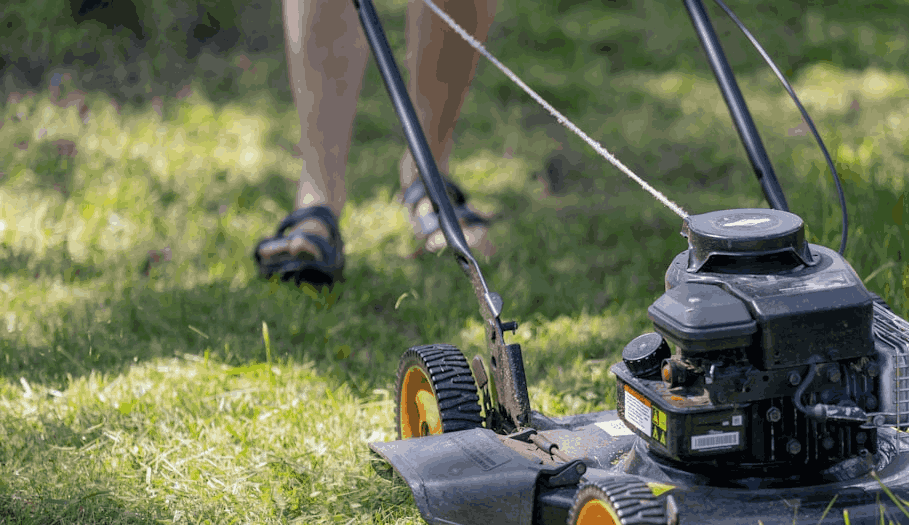 Gardening and grounds work